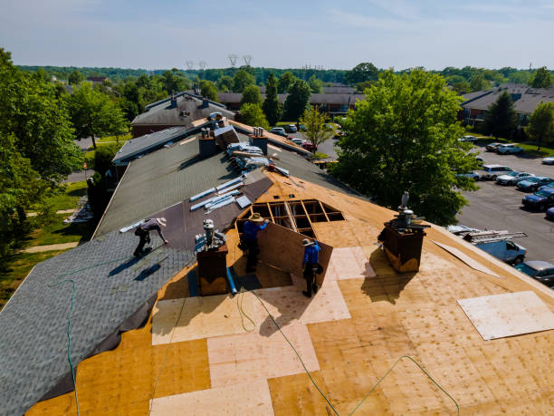 Best Flat Roof Repair Services  in Madisonville, TN